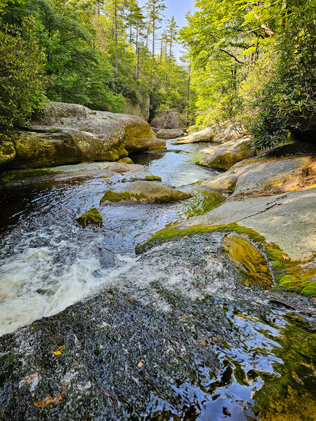 File:Steels Creek Start.jpg