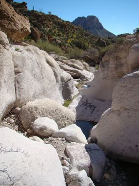 White Canyon (Arizona) Banner.jpg