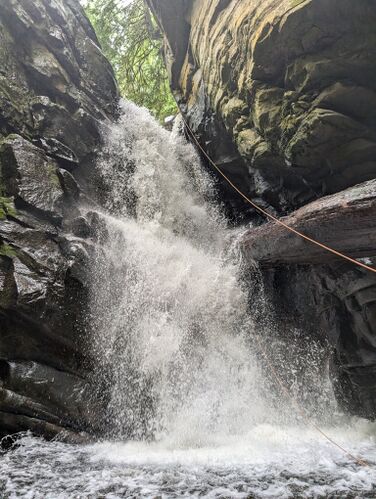 Cypress Creek-20240904202937 pic.jpg