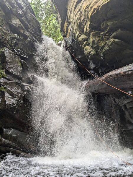 File:Cypress Creek-20240904202937 pic.jpg