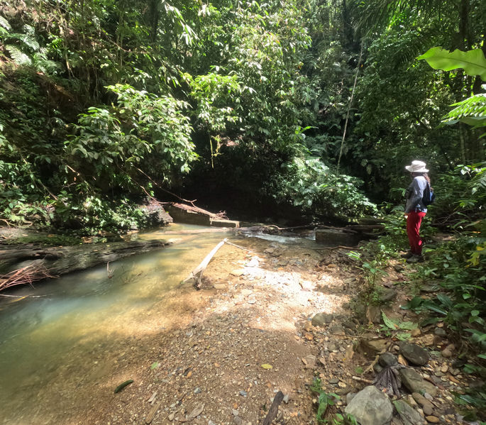 File:Guanapo Gorge Canyon start.jpg