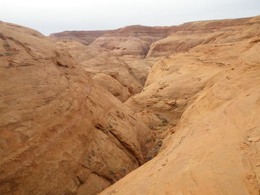 Hog 2 Canyon Banner.jpg