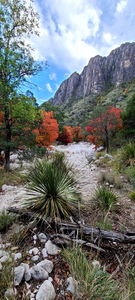 Pine Springs (Devil's Hall) pic17.jpg