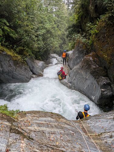 Scott Creek-20260220075534 pic.jpg