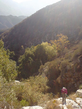 Swordsmith Canyon Banner.jpg