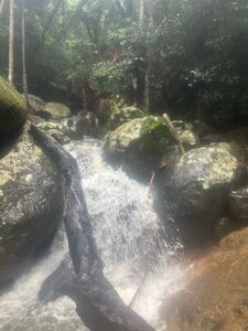 YB water reference above P1.jpg