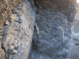 6068e59e00 o.jpg