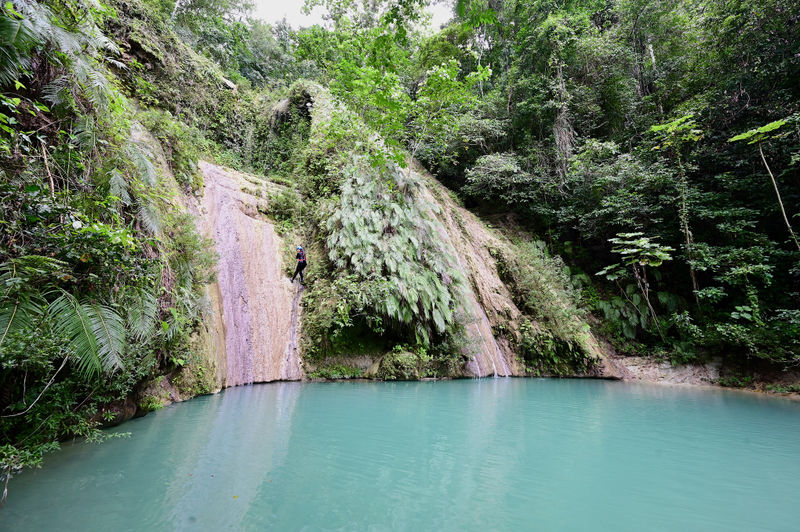 File:El Mamey Canyon Banner.jpg