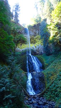 Pup Creek Banner.jpg