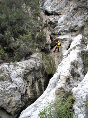 Madroñales Banner.jpg