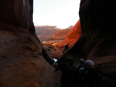 Little Baker Slots Banner.jpg