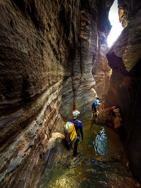 Sarcophagus Banner.jpg
