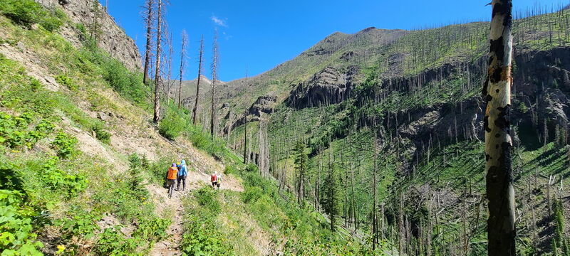File:Tuff Tributary (San Juans) pic02.jpg