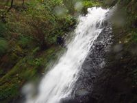 Young Creek-20170714071927 pic.jpg