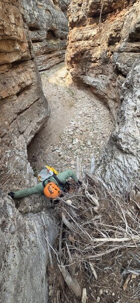 File:Spur Canyon pic012.jpg