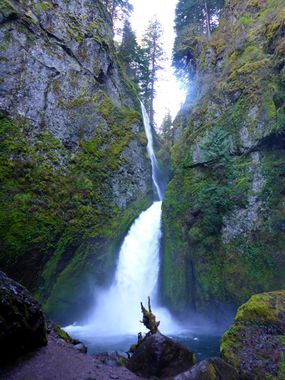 Tanner Creek Banner.jpg