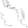 Thumbnail for version as of 19:49, 1 June 2016