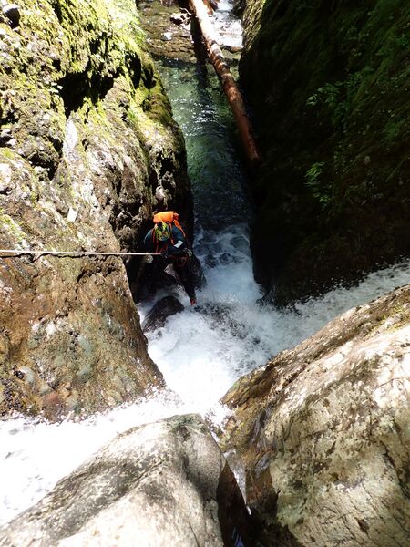 File:Cougar Creek R5.jpg