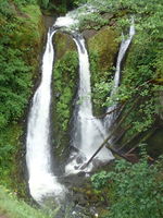 Oneonta Gorge-20160707072022 pic.jpg