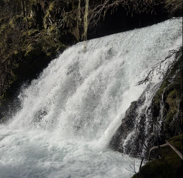 File:Rock Creek 2026-03-28.jpeg