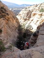 Thumbnail for version as of 12:59, 2 October 2023