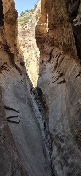 File:Upper Knowles Canyon pic004.jpg