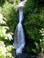 Young Creek-20220117152152 pic.jpg