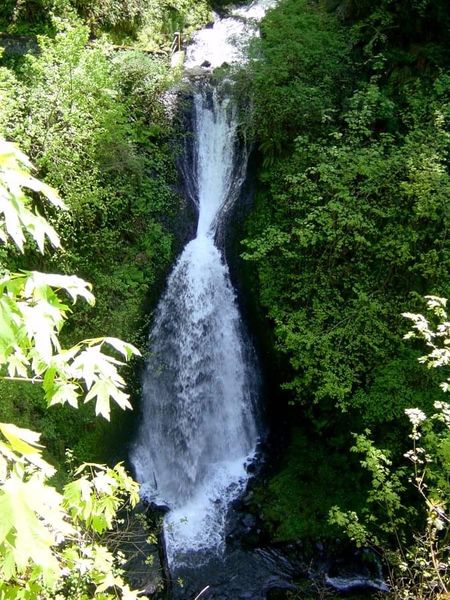 File:Young Creek-20220117152152 pic.jpg