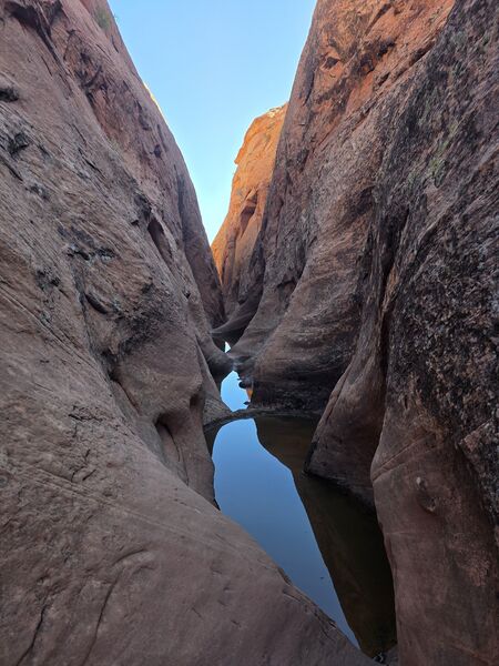 File:Jiminy Cricket Banner.jpg