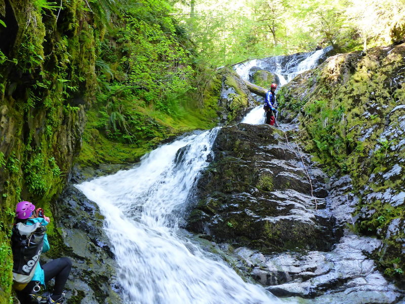 File:Henline Creek Canyon R8.jpg