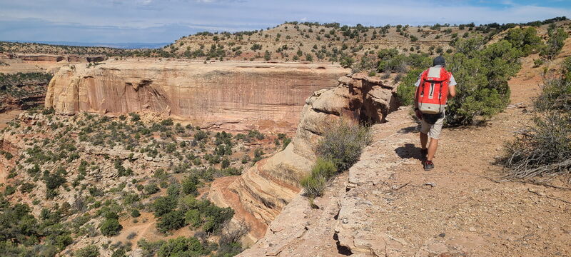 File:Knee Canyon (North) pic002.jpg