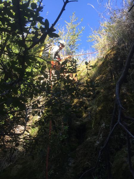 File:Laurel Springs Canyon img7977.jpg