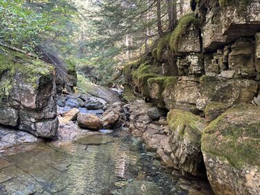 Logan Creek (Lower) Banner.jpg