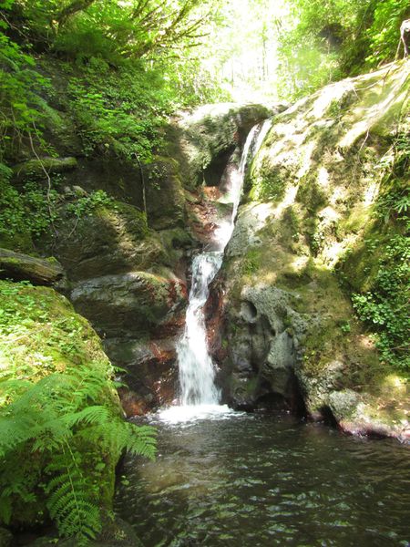 File:Woodward Creek-20170513035755 pic.jpg