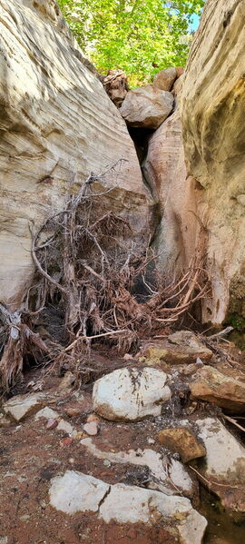 File:Carcass Canyon (Dinosaur) pic18.jpg