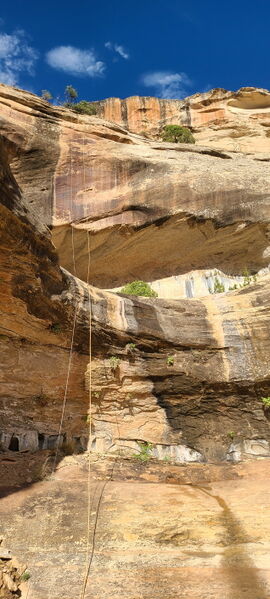 File:Rimrock Canyon pic3.jpg
