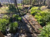 Ross Creek-20240514011447 pic.jpg