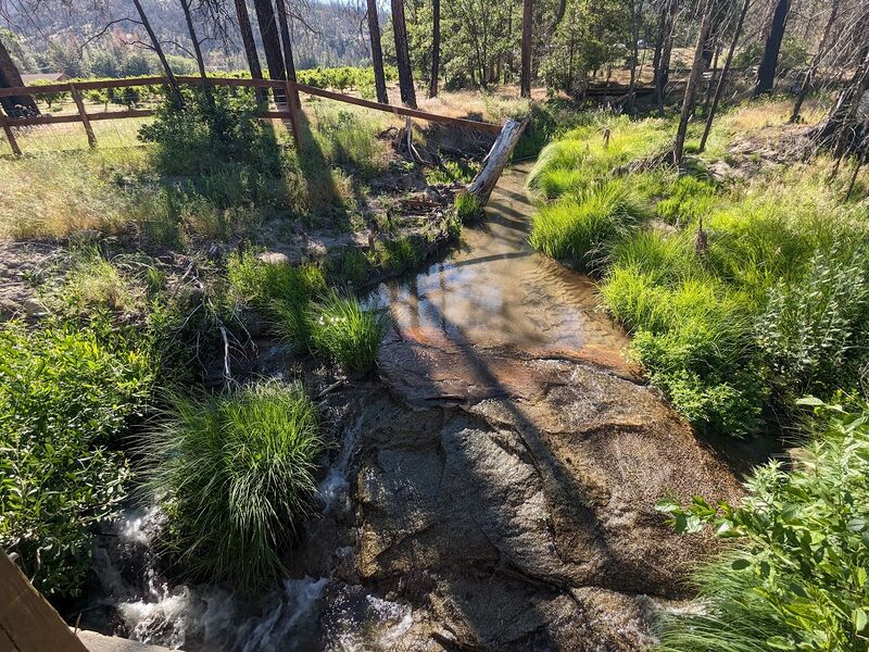 File:Ross Creek-20240514011447 pic.jpg