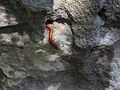 Thumbnail for version as of 16:22, 30 April 2023