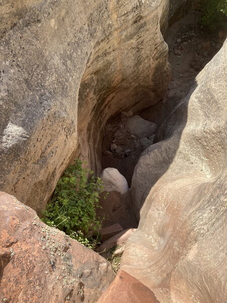 File:Carcass Canyon (Dinosaur) pic07.jpg