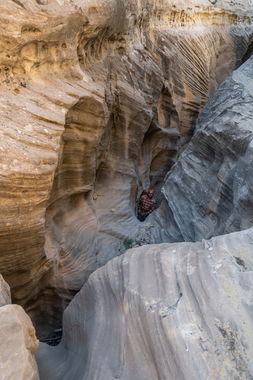 Cougar Canyon (New Mexico) Banner.jpg