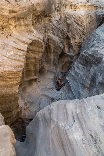 File:Cougar Canyon (New Mexico) Banner.jpg