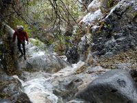 Eaton Canyon-20191129081323 pic.jpg