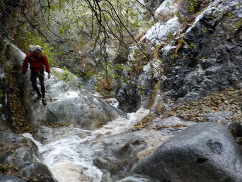 Eaton Canyon-20191129081323 pic.jpg