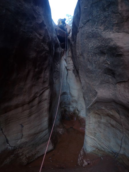 File:Miller Creek (Dinosaur) pic6.jpg