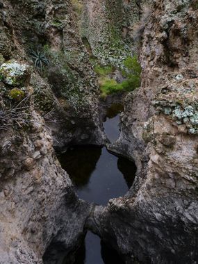 Black Sheep Canyon Banner.jpg