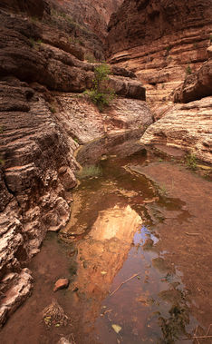 Buckfarm Canyon Banner.jpg