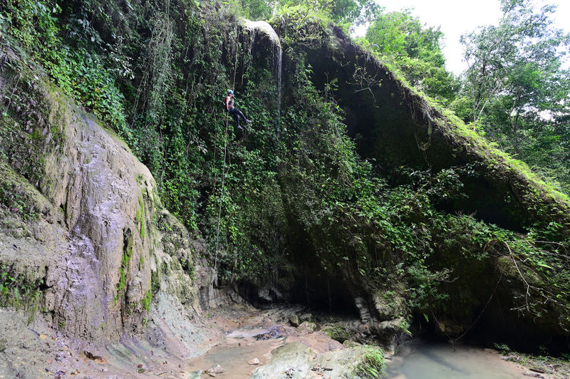 File:El Mamey Canyon 25bottom.jpg