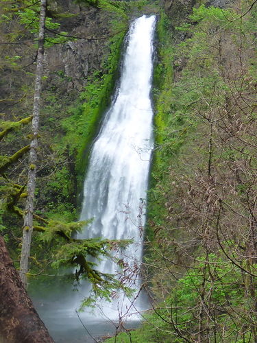 South Fork Clackamas River-20150615201241 pic.jpg