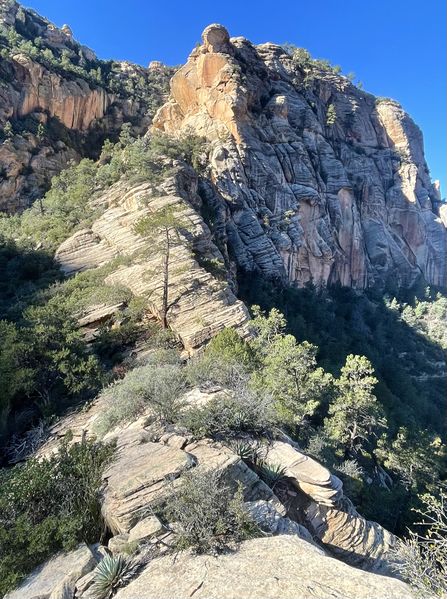 File:FILE-20211107021217.jpg